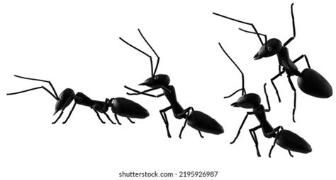 Ant Uphill Images Stock Photos D Objects Vectors Shutterstock