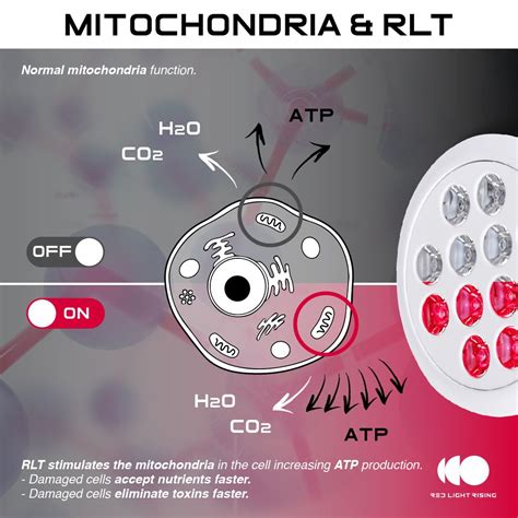Mitochondria Red Light Therapy