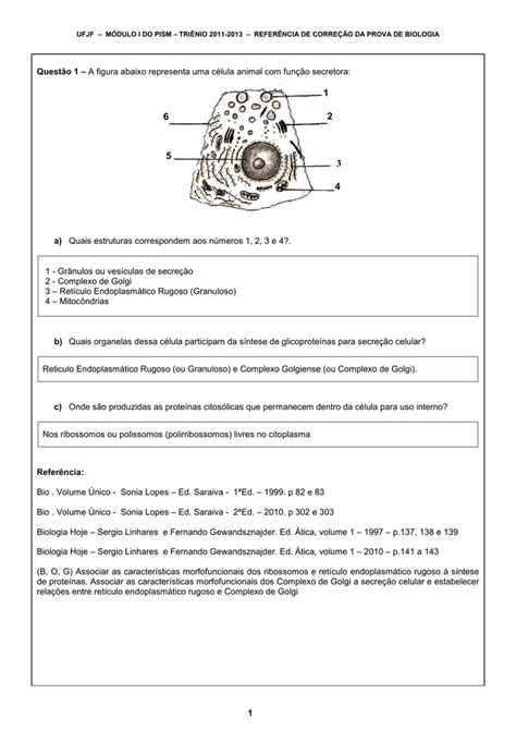 A figura abaixo representa uma célula animal função