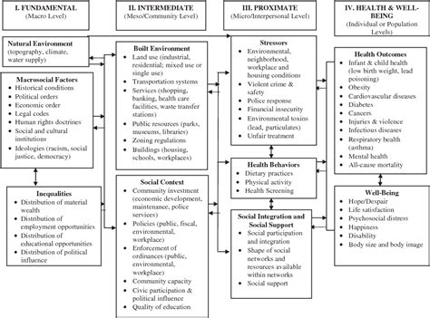 Pdf Social Determinants Of Health Implications For Environmental