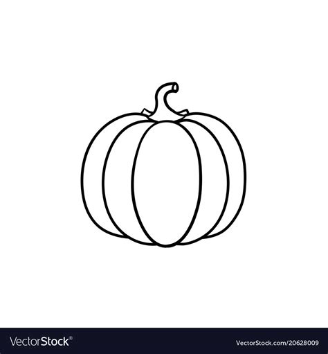 Pumpkin Sketches