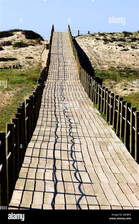 Wooden Walkway Leading To The Beach Stock Photo Alamy