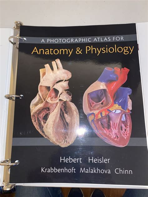 Photographic Atlas For Anatomy And Physiology A Looseleaf