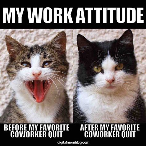 55 Funniest Coworker Memes To Share With Your Office Bestie