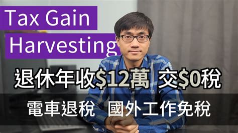 收集資本增值 Tax Gain Harvesting 退休神器 EV Credit美國稅務廣東話 中字 YouTube