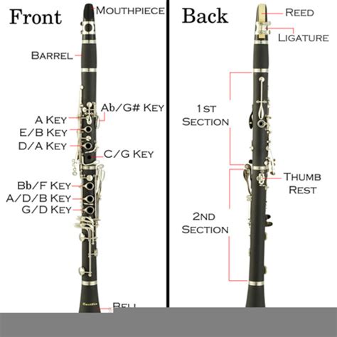 Clarinet Diagram Of Keys