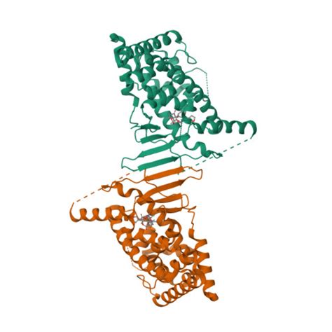 Rcsb Pdb Yfk The Structure Of Human Pregnane X Receptor In Complex