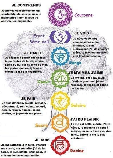 Cartographie Des Chakras Principaux Hot Sex Picture