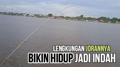 Mancing Udang Galah Disini Gak Pake Lama Langsung Strike Mancing