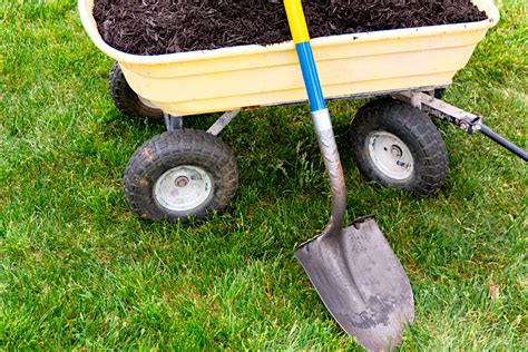 Top Dressing Lawn With Compost How To Top Dress Your Lawn The Right