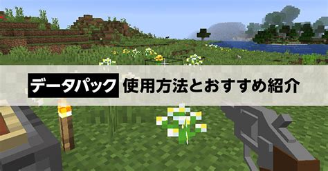 【マイクラ】データパックの使用方法とおすすめパックについて｜マイクラゼミ