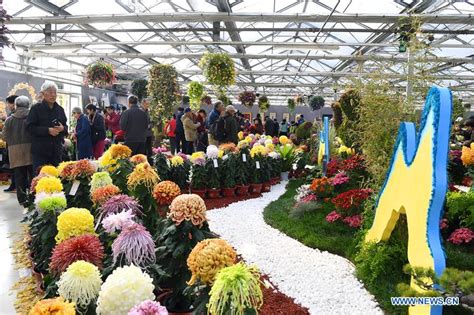 Th Cultural Festival Of Chrysanthemum Held In Beijing Tianshannet