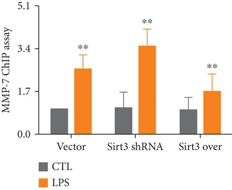 Sirt3 enhanced the stability of VE cadherin β catenin complex and