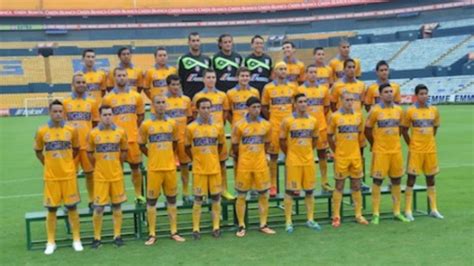 Posa Tigres Para La Foto Oficial Abc Noticias