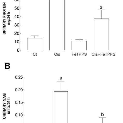 Urinary Excretion Of A Total Protein And B Nag On Day 3 In The Four