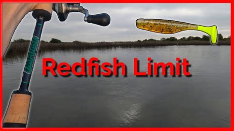 Redfish Limit On Soft Plastics Flatwater Baits YouTube