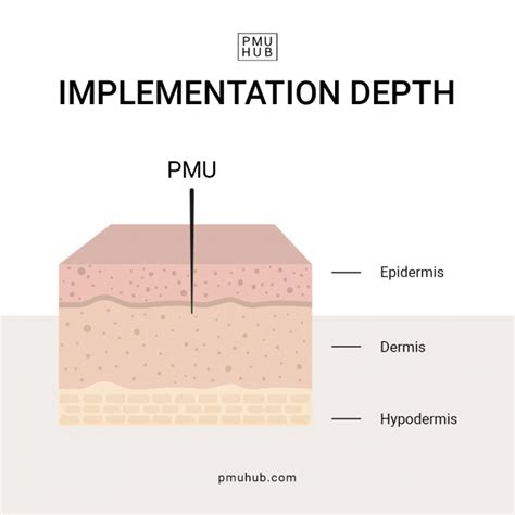 Skin Type And Pmu How Different Skin Types Affect Brow Tattoos