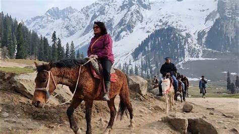 Horse Ride At Thajiwas Glacier Sonmarg Kashmir In April