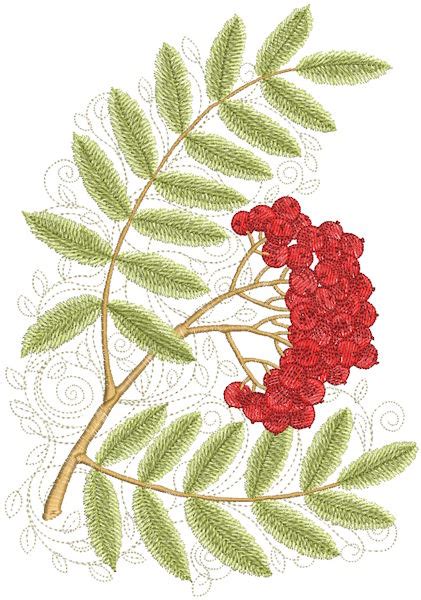 Ripe Mountain Ash Embroidery Design Embroideres Studio