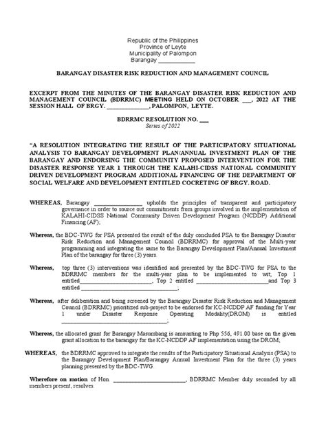 Bdrrmc Integrating Pdf Economies Government