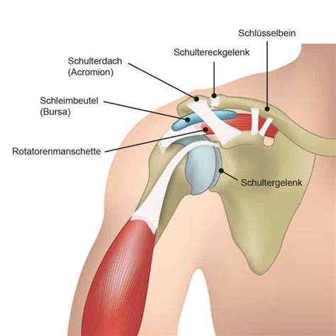 Pin Auf Gesundheit