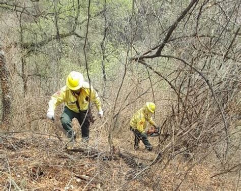 Noticia Continúa La Intensa Lucha Contra Incendios Forestales En El Norte Provincial