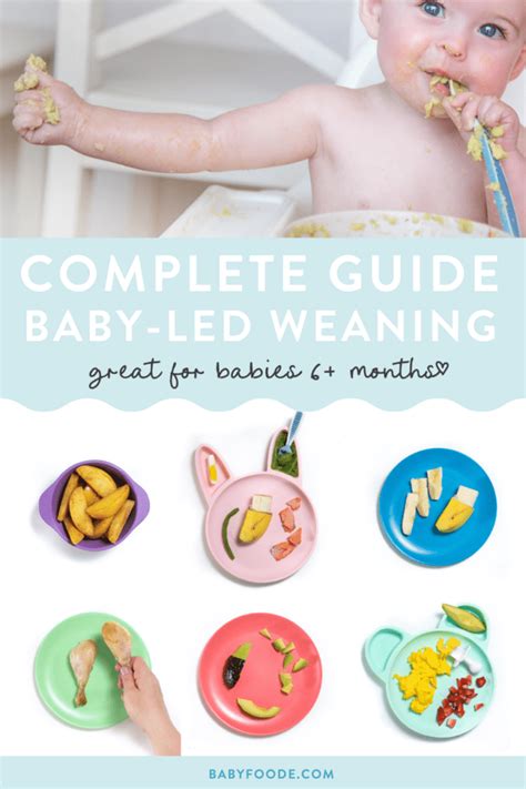 Complete Guide To Baby Led Weaning Recipes Tips More Baby Foode