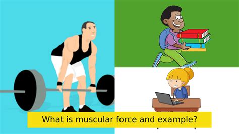 What is muscular force and example? » Open access journals