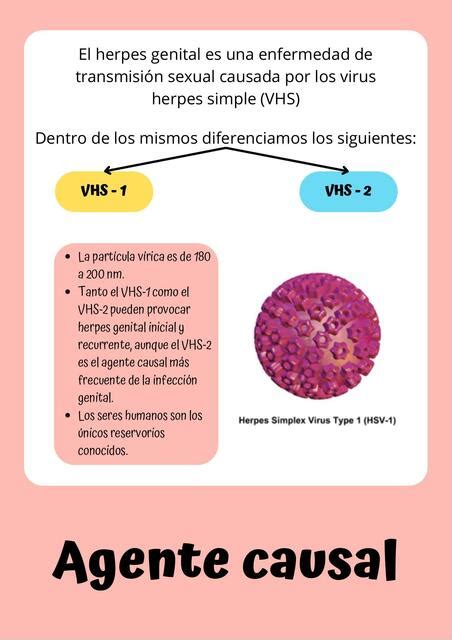 El herpes genital es una enfermedad de transmisión sexual causada por