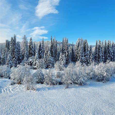 Fans are reacting to the Larry Mahoney interview today 8