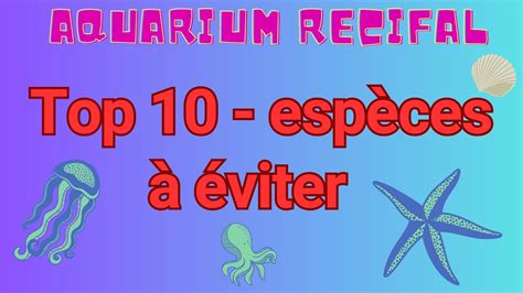 Top Des Esp Ces Viter Dans Un Aquarium R Cifal Youtube