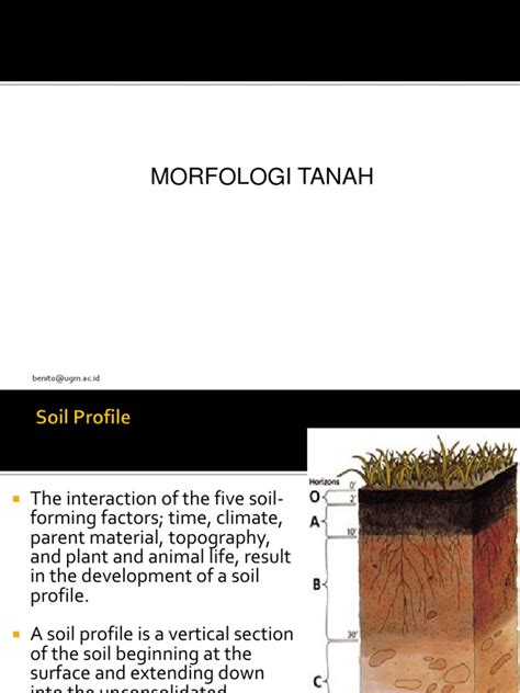 Pdf C Morfologi Tanah Dit Dokumen Tips