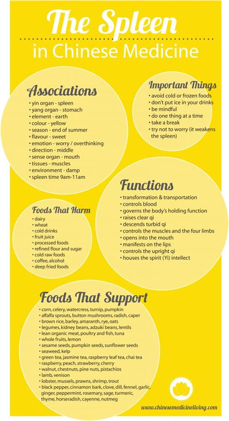 What Is Spleen Qi Deficiency Chinese Medicine Living