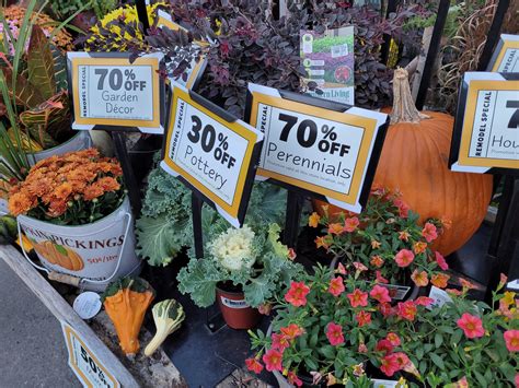 Plant sale!!! I bought soooo many plants😊 at the Ace hardware on