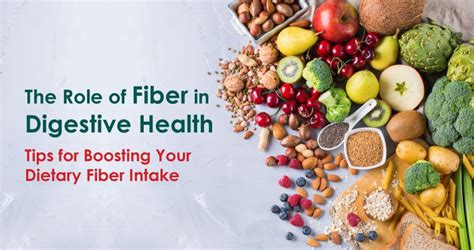 The Role Of Fiber In Digestive Health Tips For Boosting Your Dietary