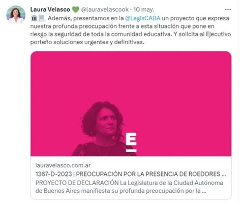 Escuelas Porte As Denuncian La Presencia De Ratas Enoticias