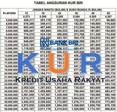 Suku Bunga Pinjaman Bank Bri Newstempo