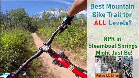 downhill mountain bike trail   levels  npr