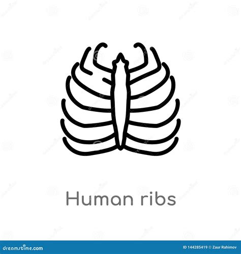 Icono Humano Del Vector De Las Costillas Del Esquema L Nea Simple Negra