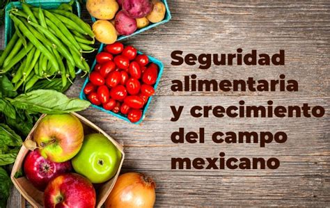 Seguridad Alimentaria Y Crecimiento Del Campo Mexicano Secretar A De