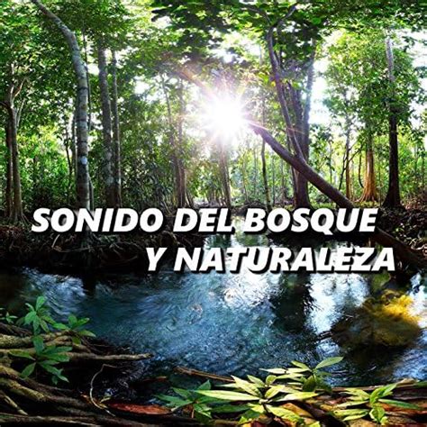 Amazon MusicでSonido Del Bosque y NaturalezaのSonido del Bosque y