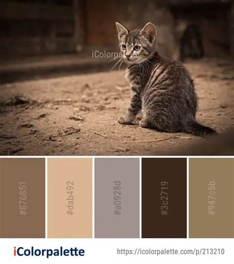 109 Tabby Cat Color Palette Ideas In 2024 Icolorpalette