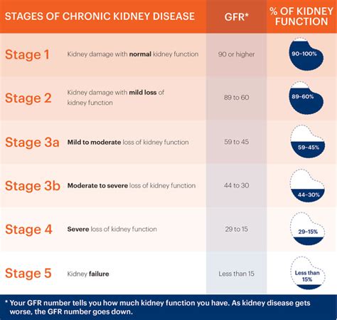 Kidney Failure - Causes, Symptoms, Diet & Treatment