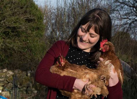 Give a few hens a happy home this Christmas! - Galway Daily