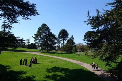 Fantastic Hotels Near Alton Towers for All You Thrill-Seekers! - Boars Head