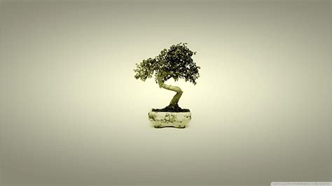 Japanese Bonsai Wallpapers - Top Free Japanese Bonsai Backgrounds ...