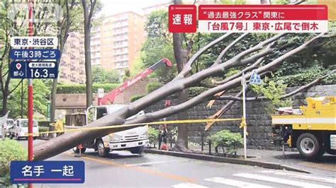 【速報】東京・広尾で倒木 “過去最強クラス”関東に「台風7号」 ライブドアニュース