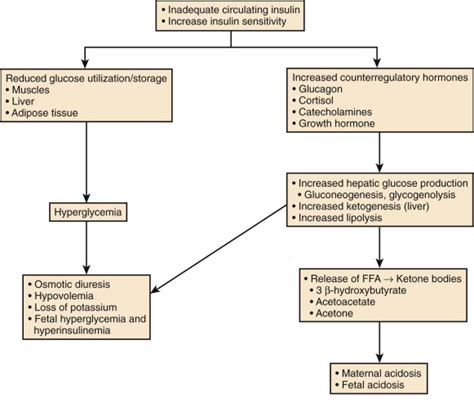 Diabetic Ketoacidosis Obgyn Key