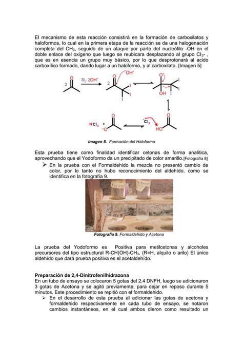 Practica Reconocimiento De Aldeh Dos Y Cetonas Pdf