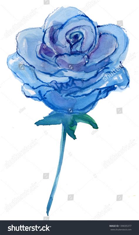 Blue Rose Watercolor Painting Stock Photo 139035377 Shutterstock